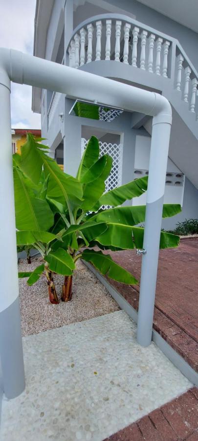 Villa Raven'S Paradise Willemstad Esterno foto